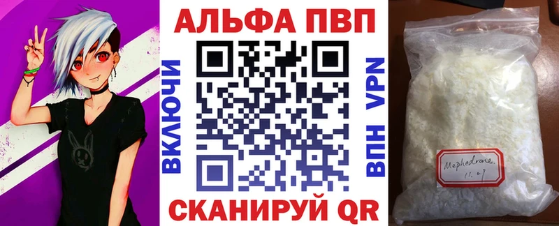 A PVP СК  Калининград 