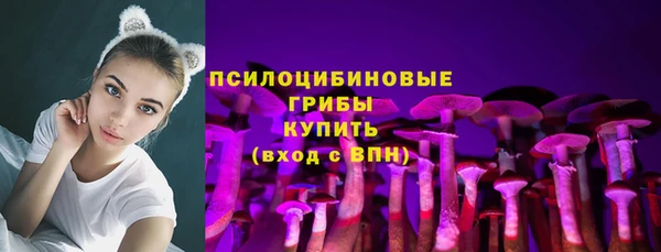 индика Лиски