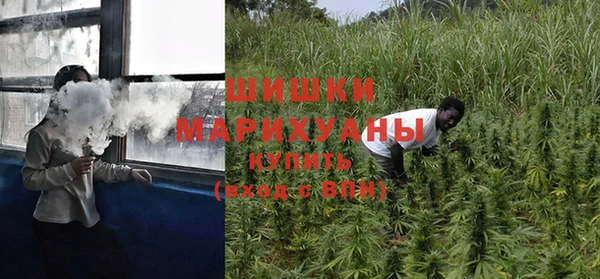 индика Лиски