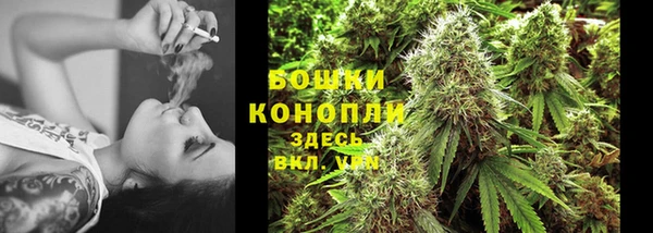 индика Лиски