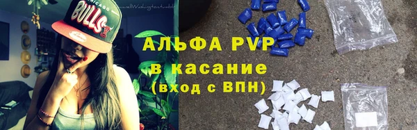 индика Лиски