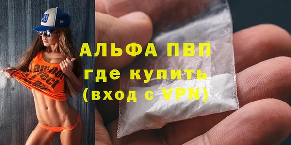 PSILOCYBIN Лихославль