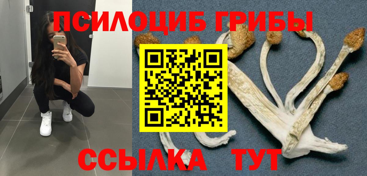 A PVP Калининград