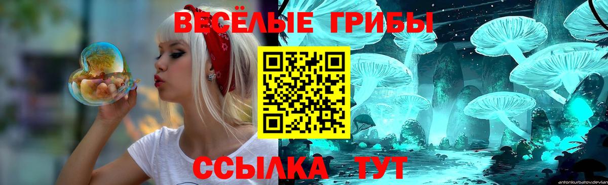 Псилоцибиновые грибы мухоморы Калининград