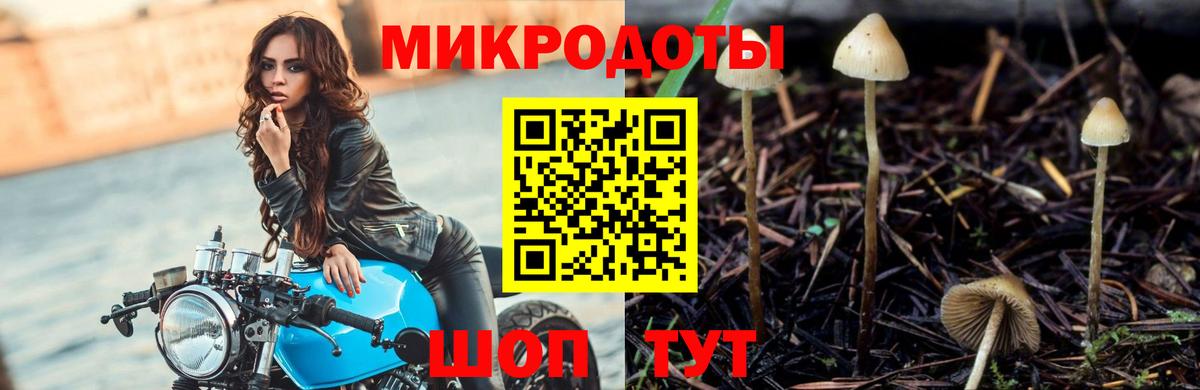 Псилоцибиновые грибы мицелий  где купить наркоту  Галлюциногенные грибы Cubensis  Калининград  Вход с VPN 