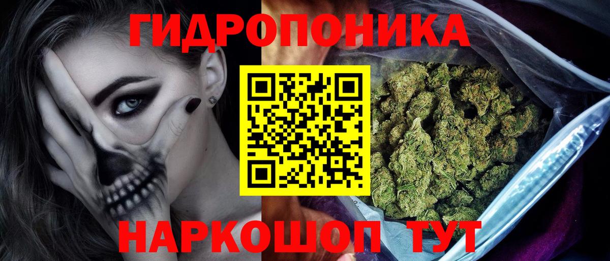 Конопля Bruce Banner Калининград